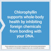 Life Extension Chlorophyllin 100mg - 100 Capsules
