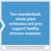 Echinacea Elite benefits text graphic