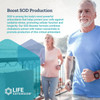 Life Extension SOD Booster (Superoxide Dismutase) - 30 Capsules
