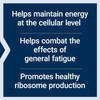 Life Extension Energy Renew 200mg - 30 Capsules