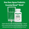 How Probiotics Essential Blend works graphic with DRcaps delayed-release capsules