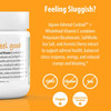 Jigsaw Health Adrenal Cocktail Powder - 240 Grams