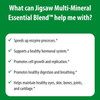 Jigsaw Health Essential Blend Multi Mineral - 90 Capsules