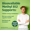 MegaFood B12 Energy Gummies, Cranberry - 70 Gummies