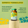 MegaFood MegaFlora Plus - 60 Capsules
