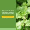Natural Factors Peppermint & Oregano Oil - 60 Softgels