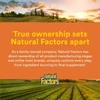 Natural Factors Theracurmin - 60 Capsules