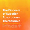 Theracurmin the pinnacle of superior absorption graphic