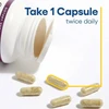 Natural Factors Celery Seed Extract - 60 Capsules