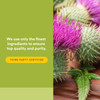 Natural Factors Milk Thistle Phytosome - 90 Capsules