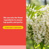 Natural Factors Quercetin LipoMicel Matrix - 60 Softgels