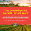 Natural Factors Quercetin LipoMicel Matrix - 60 Softgels