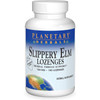Source Naturals Slippery Elm Strawberry Lozenges - 100 Lozenges SRNT06524 BeautifiedYou.com
