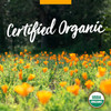 Field of orange flowers, certified organic graphic with USDA Organic seal