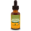 Herb Pharm Bugleweed liquid extract 1 fl oz (30 mL) dropper bottle