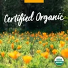 Field of orange flowers, certified organic graphic with USDA Organic seal