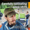 Farm manager among seedling trays, carefully cultivating since 1979 graphic