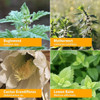 Herb Pharm Thyroid Calming