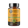 Mushroom Wellness by Herb Pharm Cordyceps Blend with Reishi 60 vegetarian capsules bottle