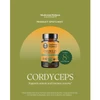 Product spotlight graphic for Cordyceps Blend 8:1 extract