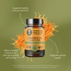Cordyceps Blend bottle among illustrated Cordyceps mushrooms graphic