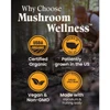 Why choose Mushroom Wellness graphic with organic US-grown vegan icons