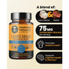 Herb Pharm Lion's Mane Blend with Reishi - 90 capsules