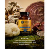Herb Pharm Lion's Mane Blend with Reishi - 90 capsules
