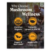 Why choose Mushroom Wellness graphic with organic US-grown vegan icons