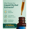 Herb Pharm Nervous System Tonic