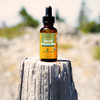 Herb Pharm Ginger