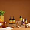 Herb Pharm Ginger