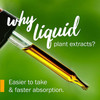 Dropper with golden extract, why liquid plant extracts, easier to take graphic