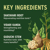 Key ingredients graphic, shatavari root, vidari kanda and guduchi stem