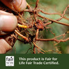Hand holding harvested roots, Fair for Life Fair Trade Certified graphic