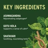 Key ingredients graphic, ashwagandha, gotu kola and shatavari