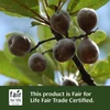 Banyan Botanicals Healthy Kapha (Organic) - 90 Tablets