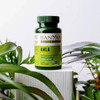 Banyan Botanicals Amla - 90 Tablets