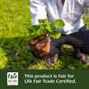 Hands holding a gotu kola plant, Fair for Life fair trade certified graphic