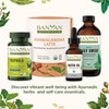 Triphala, Ashwagandha Latte, Nasya Oil and Daily Swish, discover Ayurvedic herbs graphic