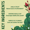Key ingredients graphic: amla fruit, bhringaraj leaf and hibiscus flower