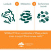 Lactobacilli Bifidobacteria and Saccharomyces strains diagram graphic