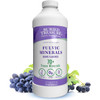 Buried Treasure Fulvic Minerals grape flavored 70+ trace minerals 32 fl oz bottle