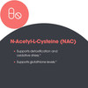 Metabolic Maintenance NAC 600mg - 60 Capsules