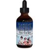 Planetary Herbals Loquat Respiratory Syrup for Kids 4 fl oz bottle