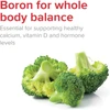 Vibrant Health Boron - 60 Capsules