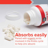Krebs Zinc bottle with spilled capsules, absorbs easily Krebs cycle acids graphic