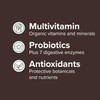 Multivitamin probiotics and antioxidants icons graphic