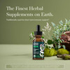 Oregano Leaf bottle with fresh oregano, the finest herbal supplements on earth graphic
