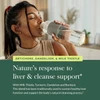Woman drinking water, artichoke, dandelion and milk thistle blend graphic